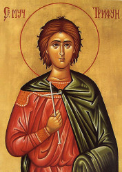 СаваД 
Свети Трифун 
2009-02-14 09:14:55