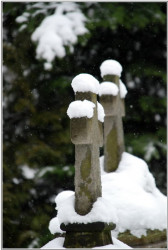 marcin__c 
2 Kresty  
2009-02-15 12:49:12
