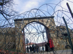 Srbinpravoslav 
Девич 
2009-02-23 15:11:52