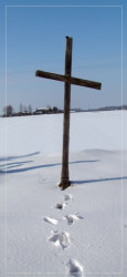 AM 
 
2009-02-27 17:56:42