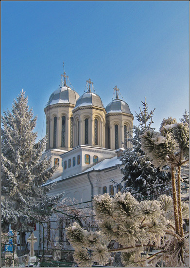 Biserica Adormirea Maicii Domnului (Ploiești) / foto 6