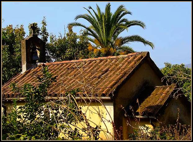 Overgrown Church