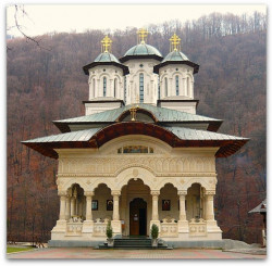 Florina 
Sfanta Manastire Lainici 
215 
2009-03-09 21:19:01