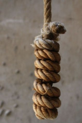 elpicris 
the bell's rope 
2009-03-11 21:48:04