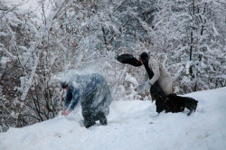 noria 
snow 
2009-03-14 01:08:01