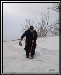 dtrvic 
...Ajutor intru necazuri nu avem,Doamne al puterilor fi cu noi... 
2009-03-14 19:54:13