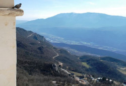 sapuric 
PANORAMA 
2009-03-19 14:17:59