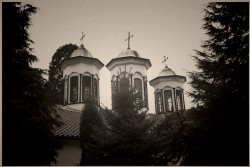 Anima_Mea 
 
2009-03-23 23:03:46