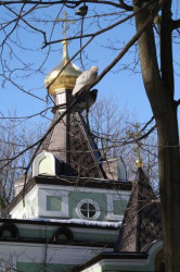 seremyaga 
Часовня Ксении Блаженной в Петербурге 
2009-03-26 20:07:42