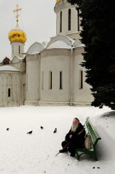 mial 
паломник 
2009-03-27 09:17:42