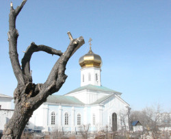 artsfer 
Свято-Вознесенский мужской монастырь 
2009-03-30 22:27:06