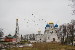 solo 
Николо-Угрешский монастырь 
2009-03-31 23:32:34