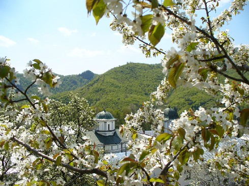 Manastirea Frasinei