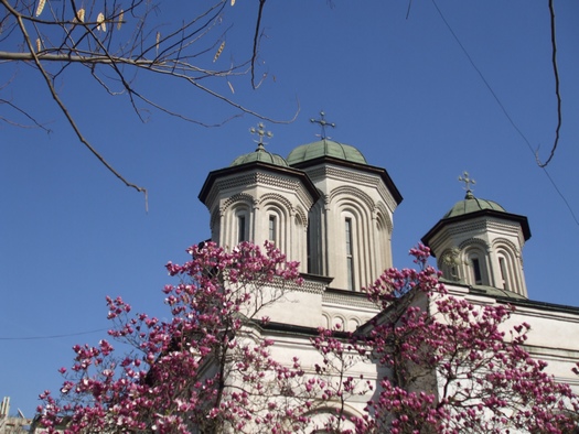 Primavara