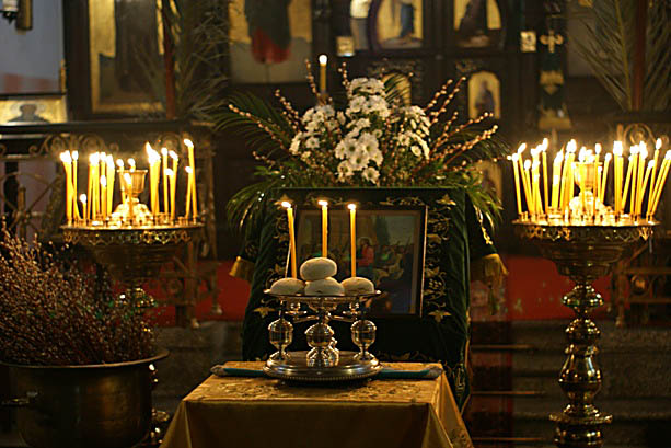 ***Вербное воскресене 2009***