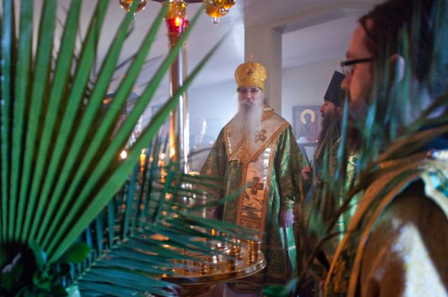 Palm Sunday