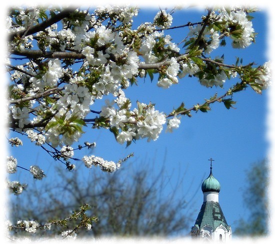 Jar...Spring...Bесна 