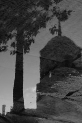ikonographics 
Reflections 
2009-04-04 11:08:49