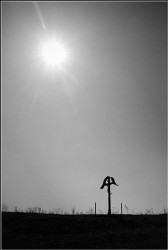ovidiu_m 
 
2009-04-13 14:28:13
