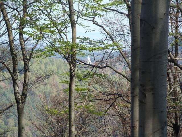 Po północnej stronie Karpat - On the northern side of the Carpathian Mts.