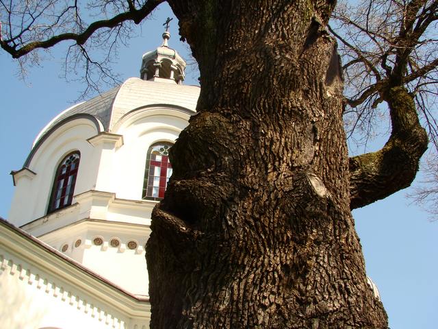 Prawosławie na Podkarpaciu - Православ'я на Підкарпатті