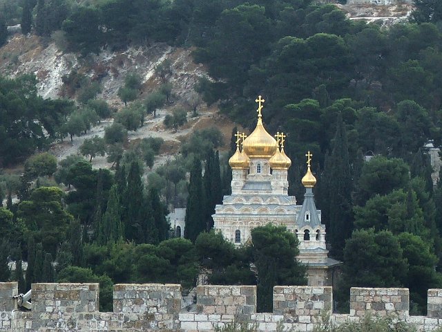 Маслинова Гора