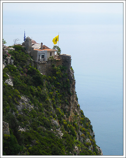 Eagle nest
