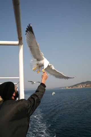 Η αγάπη σε όλα τα πλάσματα του Θεού        The love in all creatures of 