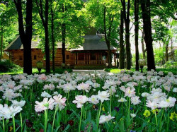 Andreea 
Manastirea Lacu Sarat, Braila 
186 
2009-05-03 09:44:02