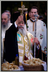 hmiodrag 
Blagoslov 
2009-05-06 19:29:39