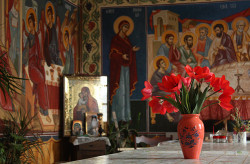 mihaela 
Trapeza of Monastery Turnu, Prahova county 
159 
2009-05-09 22:45:23