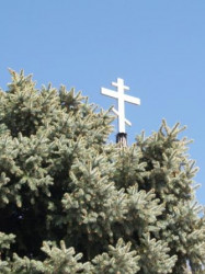 angus 
A Russian Orthodox Cross and a Colorado Blue Spruce 
2009-05-12 00:49:19