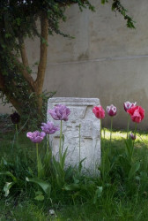 mimbg 
 
2009-05-12 21:19:57