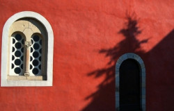 josifras 
Zica_1 
2009-05-14 23:20:41