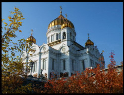Tixy 
Храм Христа Спаситеља 
2009-05-25 22:32:24
