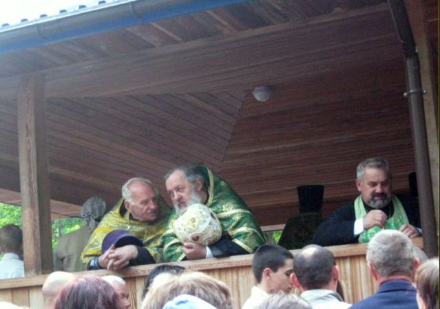 Biesieda  i jeleopomazanie przez  barierke KRYNOCZKA 8.06.2009