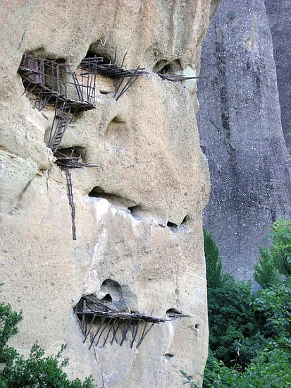 Nests of Saints