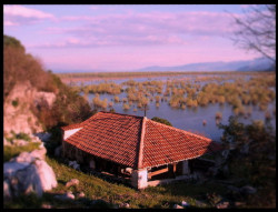Tixy 
Манастир Ком, Скадарско језеро 
2009-06-10 21:41:02