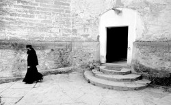 catalintu 
Quo vadis? 
2009-06-12 22:08:52