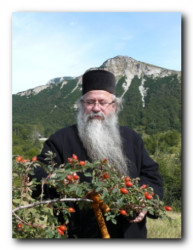 hadziratko 
Епископ Бихаћко-петровачки Г.Г. Хризостом (Јевић) 
2009-06-13 19:42:47