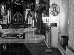 toza 
Тврдош 5 
2009-06-17 02:02:28