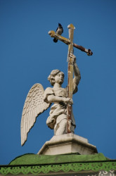 solo 
† 
2009-06-17 17:23:37