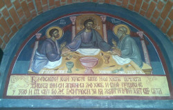 predragratkovi 
+ 
2009-06-23 13:34:59