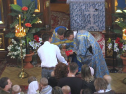 tomekl115 
 
2009-06-26 14:09:46