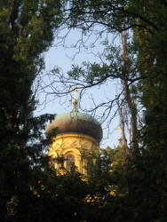 matfiej 
Kopuła cerkwi św. Marii Magdaleny pomiędzy dzrewami (Warszawa) 
2009-06-29 15:52:40