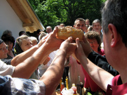 ilijics 
Сечење колача - Видовдан 2008. 
2009-06-30 20:59:12