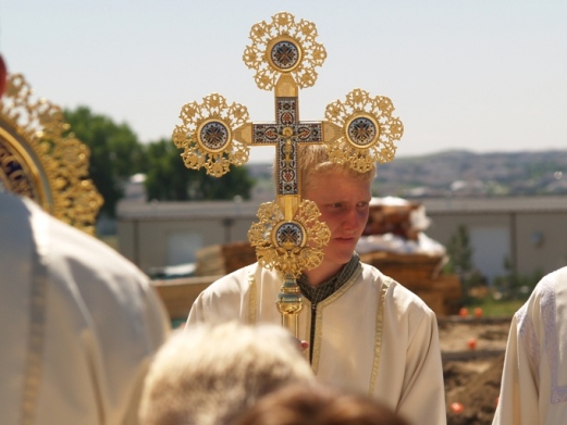 Crucifer
