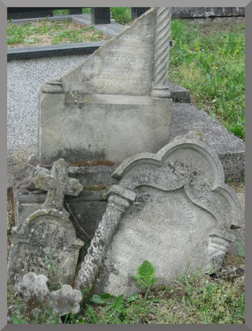 Porodica