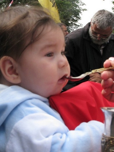 Vidovdan, Gracanica, 2009.