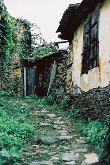 Kareja